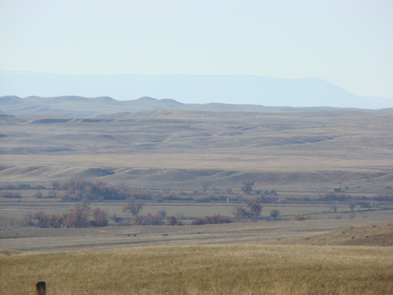 Big Horn Mountians